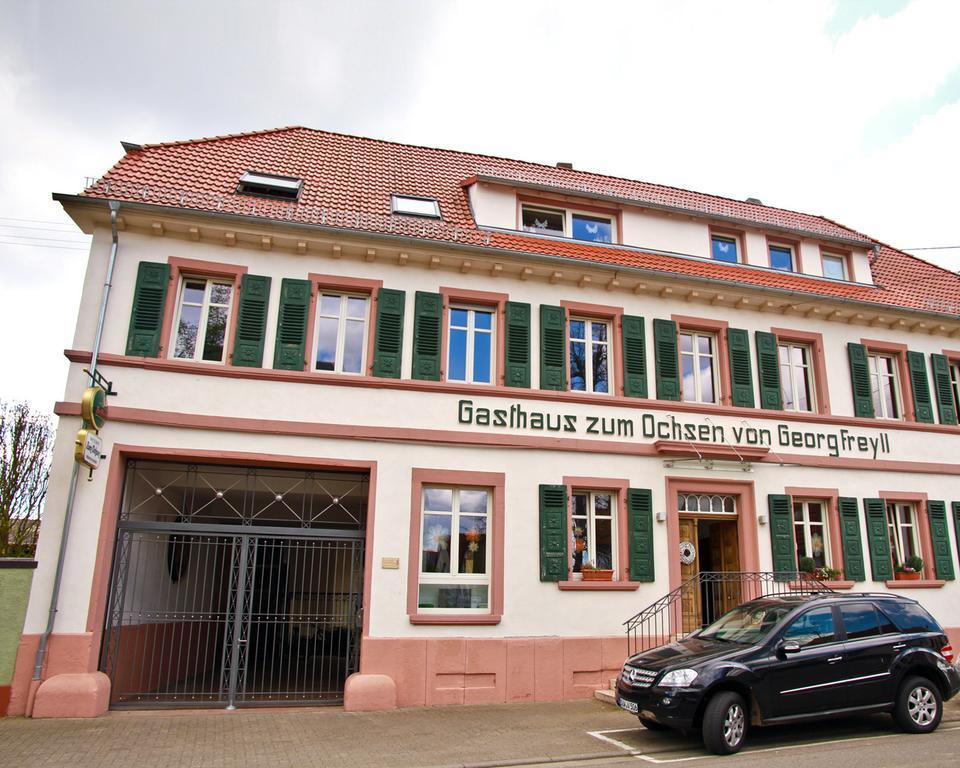 Gasthaus Zum Ochsen Hochstadt  Exteriér fotografie